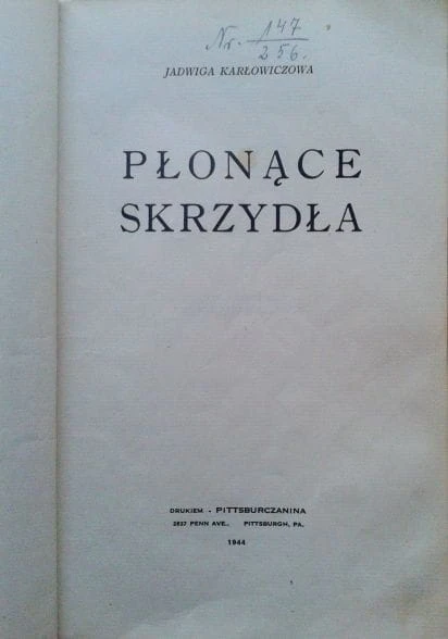 41934171.jpg