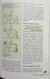 CamScanner 03-13-2023 12.16_20.jpg
