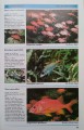 CamScanner 03-14-2023 16.36_11.jpg