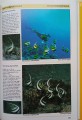 CamScanner 03-14-2023 16.36_12.jpg