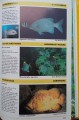 CamScanner 03-14-2023 16.36_13.jpg