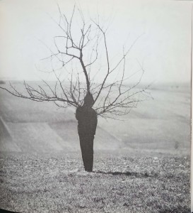 CamScanner 24-04-2023 16.30_9.jpg