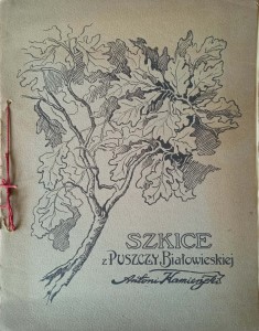 Antoni Kamieński, Szkice z Puszczy Białowieskiej