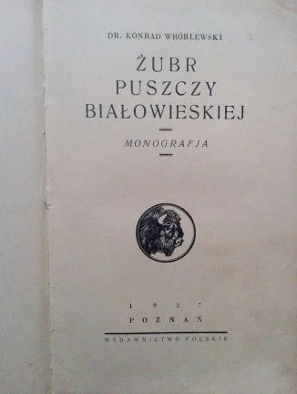 42633298.jpg