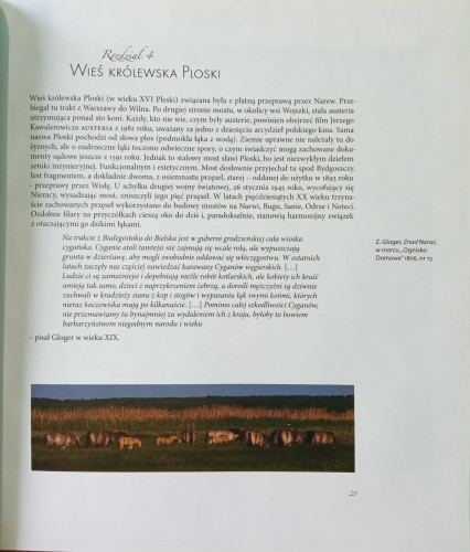 CamScanner 30-06-2023 13.44_11.jpg