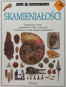 Paul Taylor, Skamieniałości