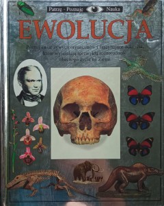 Linda Gamlin, Ewolucja