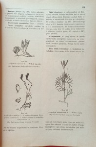 CamScanner 21-09-2023 15.34_5.jpg