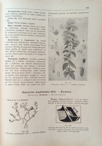 CamScanner 21-09-2023 15.34_6.jpg