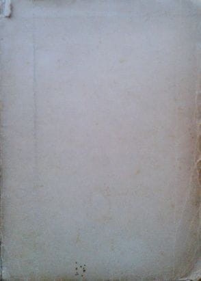 43176389.jpg