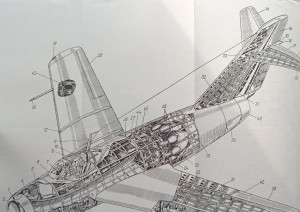 CamScanner 11-10-2023 12.45_28.jpg