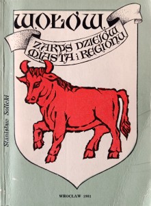 Stanisław Solicki, Wołów Zarys dziejów miasta i regionu