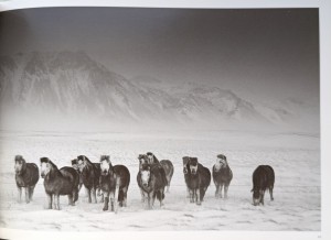 CamScanner 21-10-2023 16.13_7.jpg