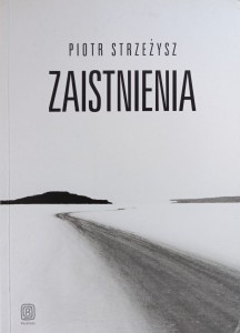 Piotr Strzeżysz, Zaistnienia