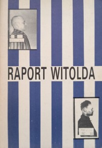 Adam Cyra, Raport Witolda