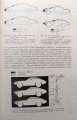 CamScanner 29-12-2023 13.53_10.jpg