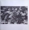CamScanner 02-01-2024 15.01_19.jpg