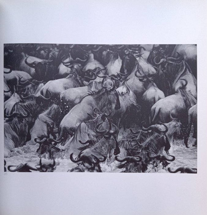CamScanner 02-01-2024 15.01_19.jpg
