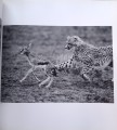 CamScanner 02-01-2024 15.01_20.jpg