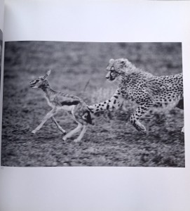 CamScanner 02-01-2024 15.01_20.jpg