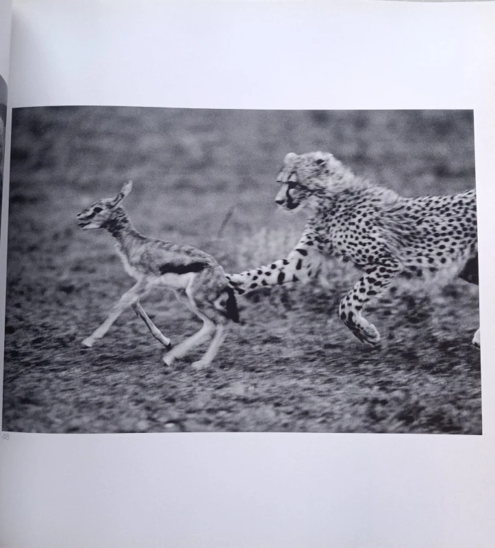 CamScanner 02-01-2024 15.01_20.jpg