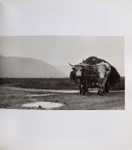 CamScanner 16-01-2024 15.06_10.jpg