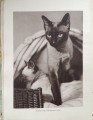 CamScanner 20-02-2024 12.49_5.jpg