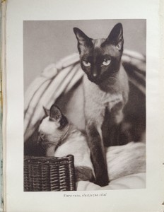 CamScanner 20-02-2024 12.49_5.jpg
