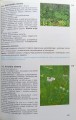 CamScanner 14-05-2024 16.52_16.jpg