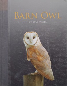 David Chandler, Barn Owl