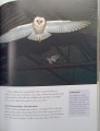 CamScanner 14-05-2024 16.52_37.jpg