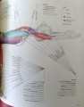 CamScanner 18-06-2024 12.21_38.jpg