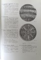 CamScanner 19-06-2024 16.10_26.jpg