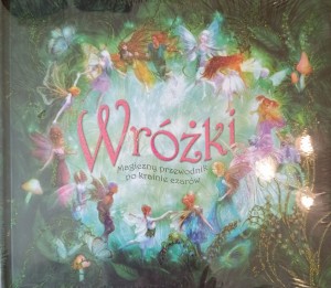 Wróżki magiczny przewodnik po krainie czarów