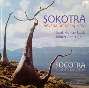 Sokotra Wyspa Smoczej Krwi