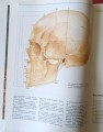 CamScanner 18-07-2024 10.58_15.jpg