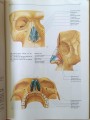 CamScanner 18-07-2024 10.58_16.jpg