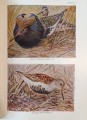 CamScanner 21-08-2024 18.14_8.jpg