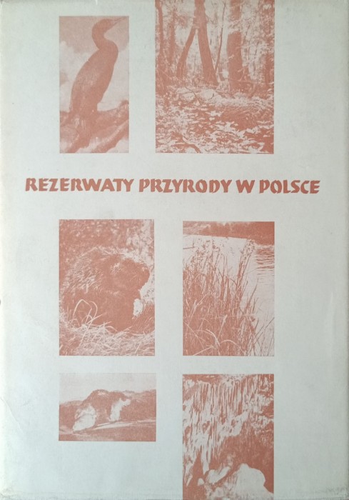 1725466029148.jpg