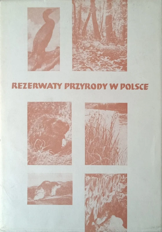1725466029148.jpg