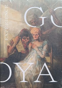 Goya Experience Palais Beauz Arts Lille