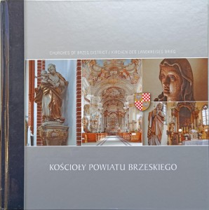 Brygida Jakubowicz, Kościoły powiatu brzeskiego