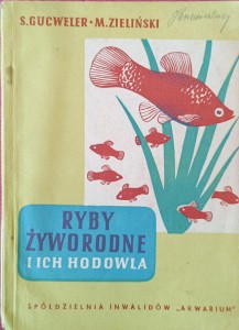 Gucweler Zieliński, Ryby żyworodne i ich hodowla