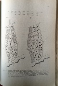 1729772736039.jpg