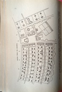 1729772736049.jpg