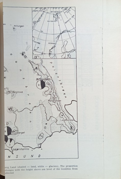 1732617838432.jpg