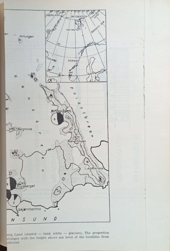 1732617838432.jpg