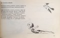 1734519742688.jpg