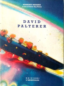 Norberto Medardi, David Palterer