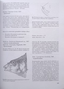 1736863807076.jpg